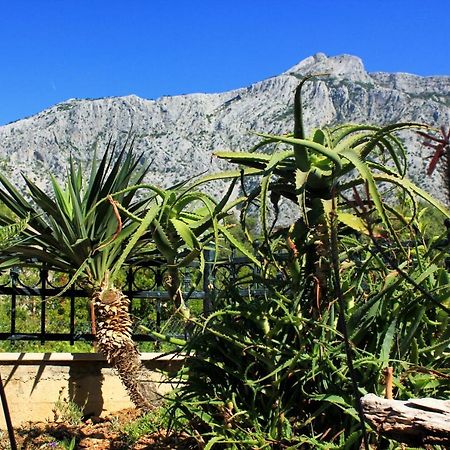 Apartments With A Parking Space Orebic, Peljesac - 10157 Exterior photo